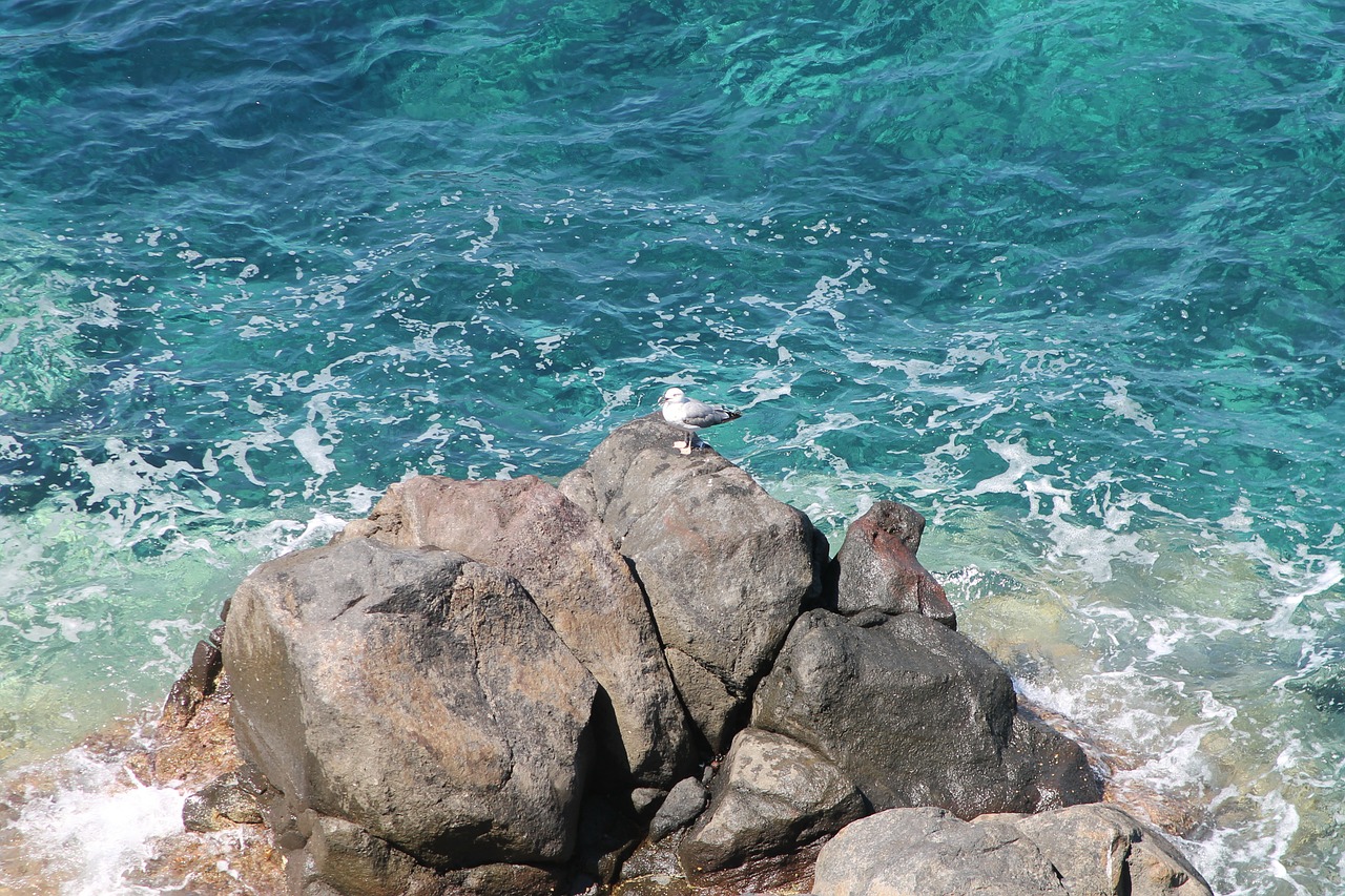 tuscany sea island free photo