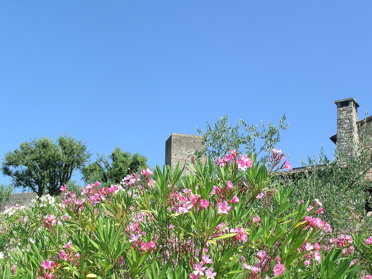 tuscany monteriggioni italy free photo