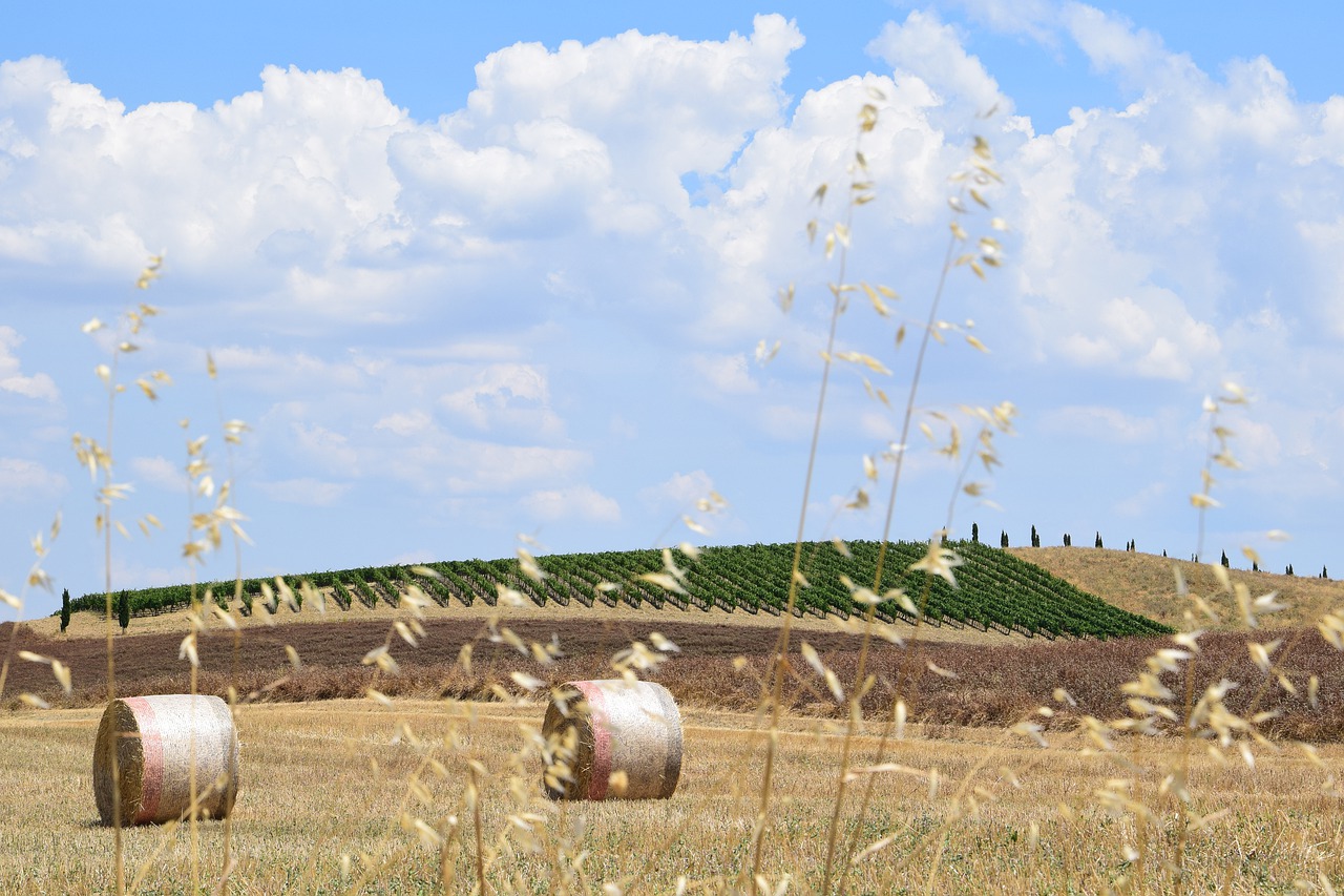tuscany  hay bales  panorama free photo