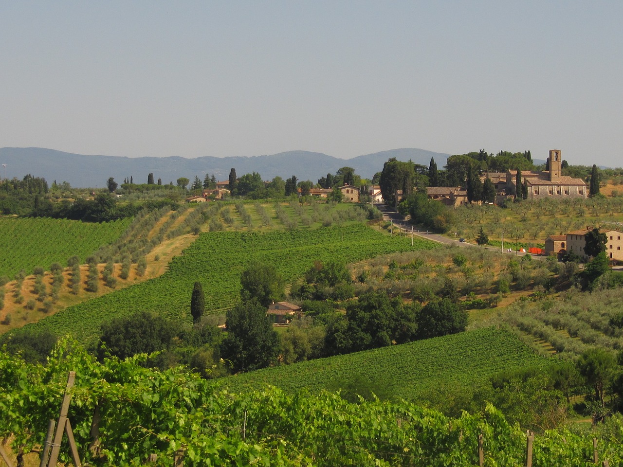 tuscany agriculture winegrowing free photo