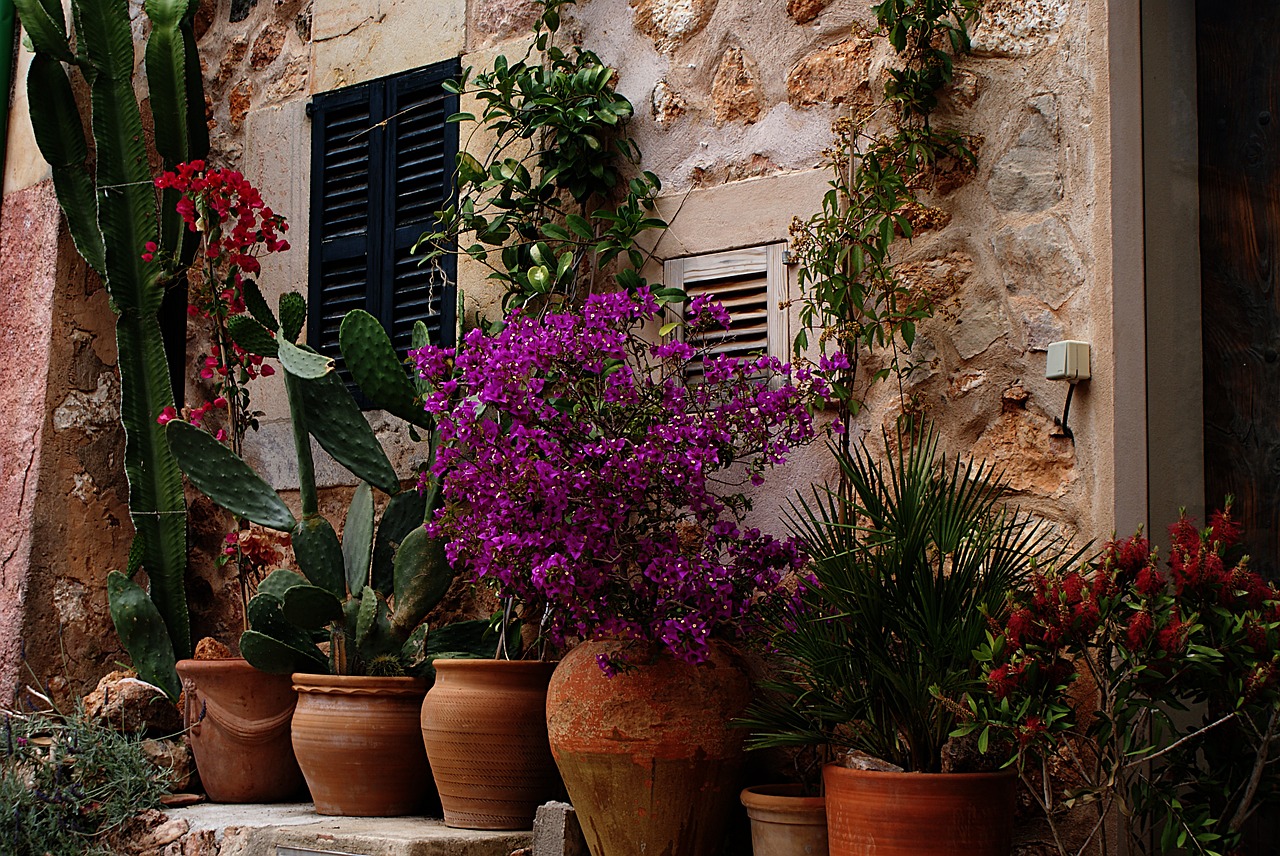 tuscany flowers home free photo