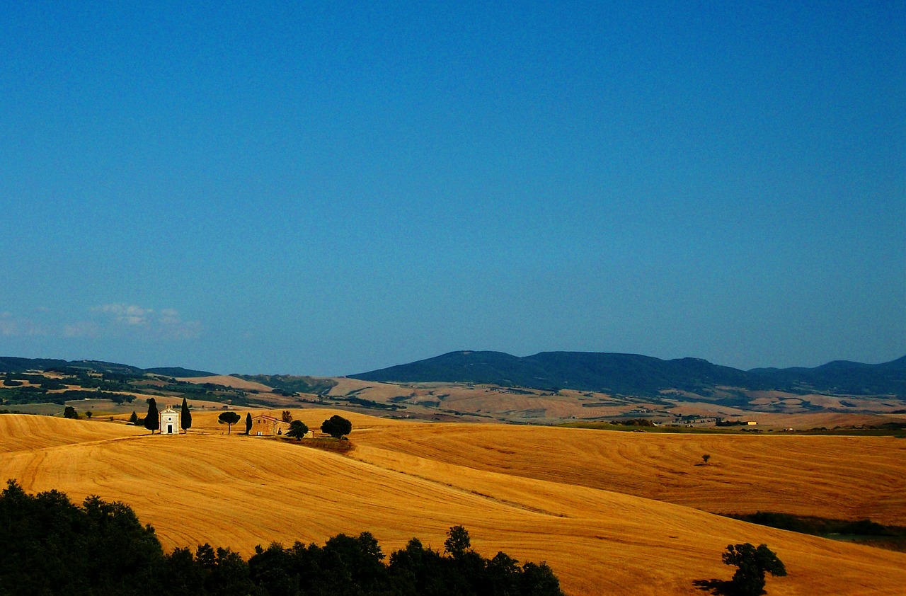 tuscany landscape cornfield free photo