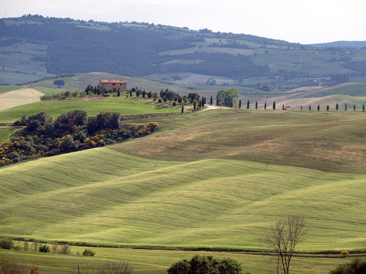 tuscany hill landscape free photo