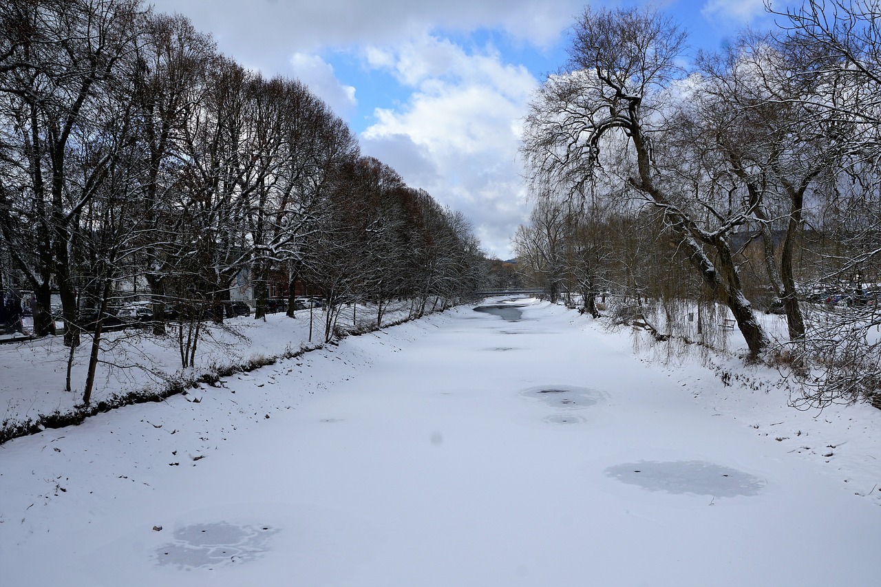 tuttlingen danube park free photo