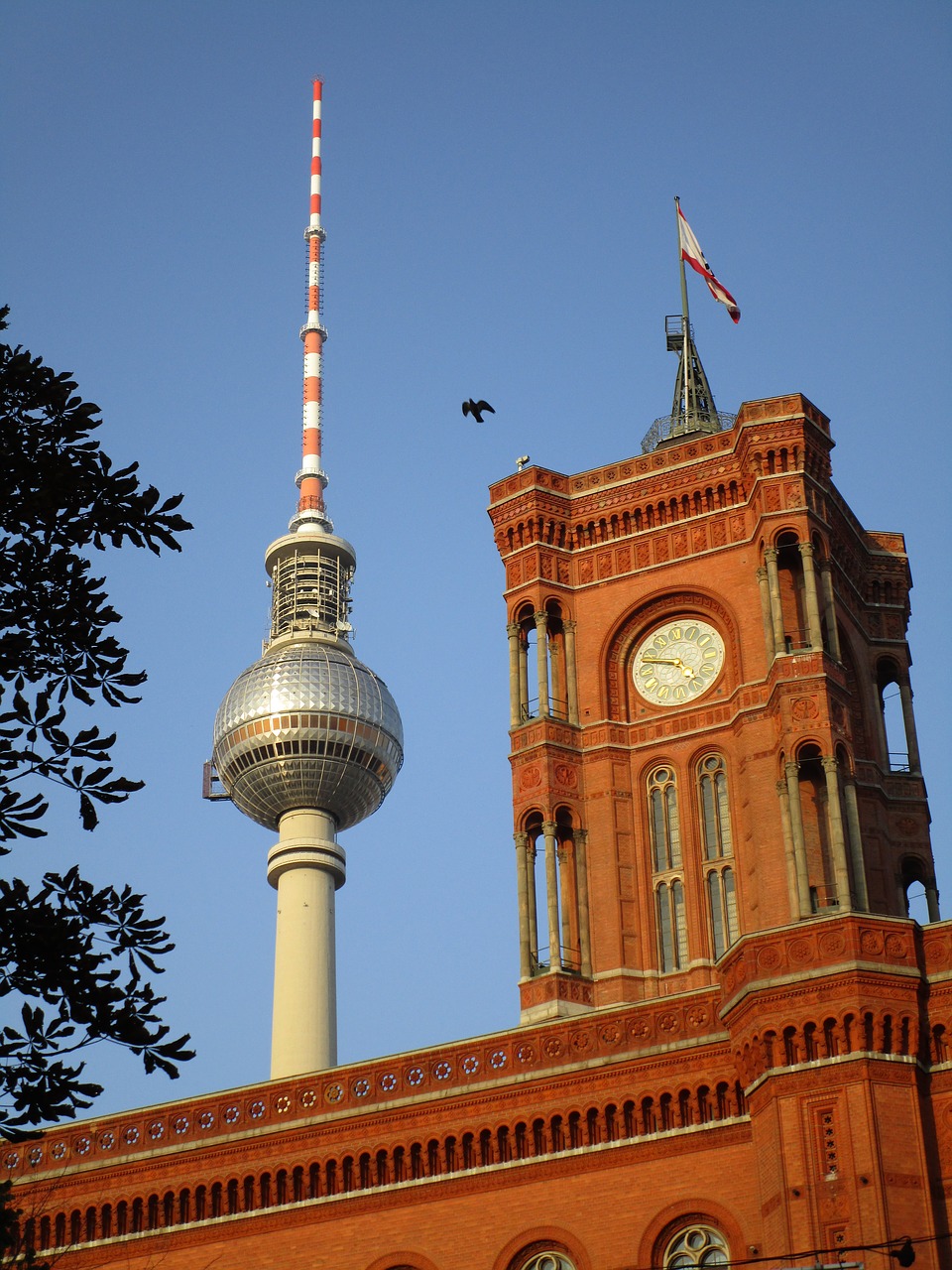 tv tower  red town hall  clock free photo