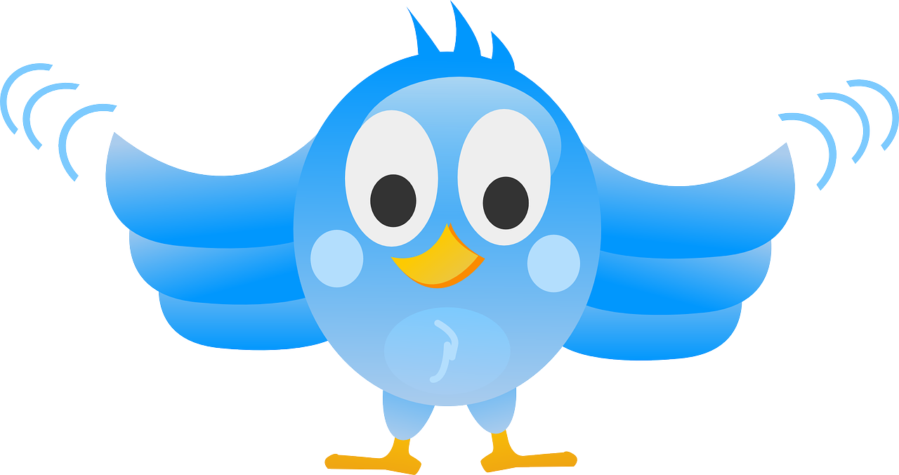 tweeting twitter bird free photo
