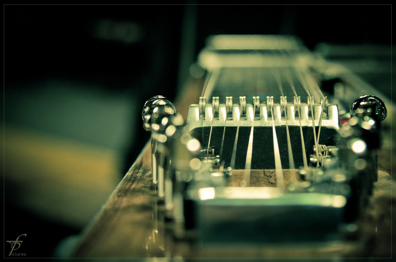 twenty strings macro steel-guitar free photo