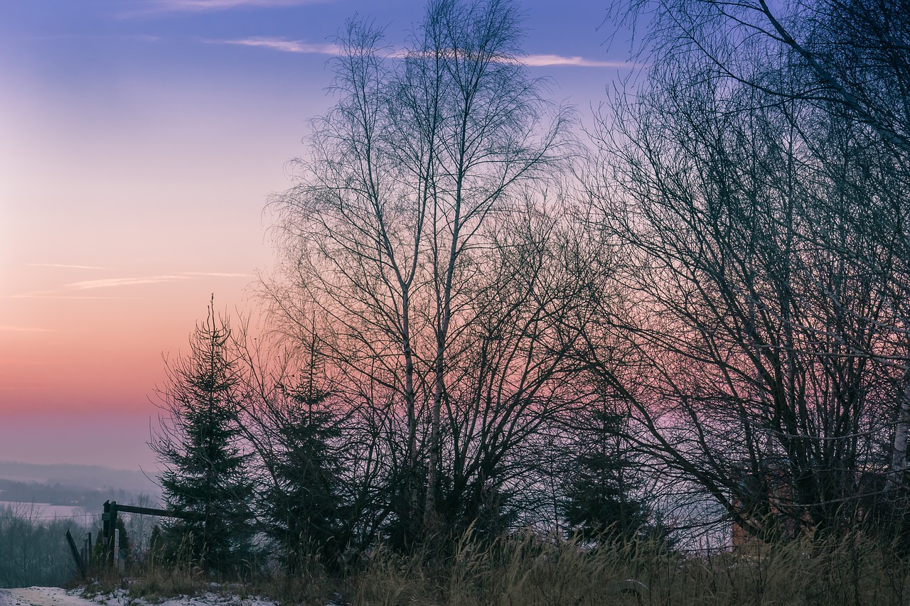 twilight winter sunset free photo