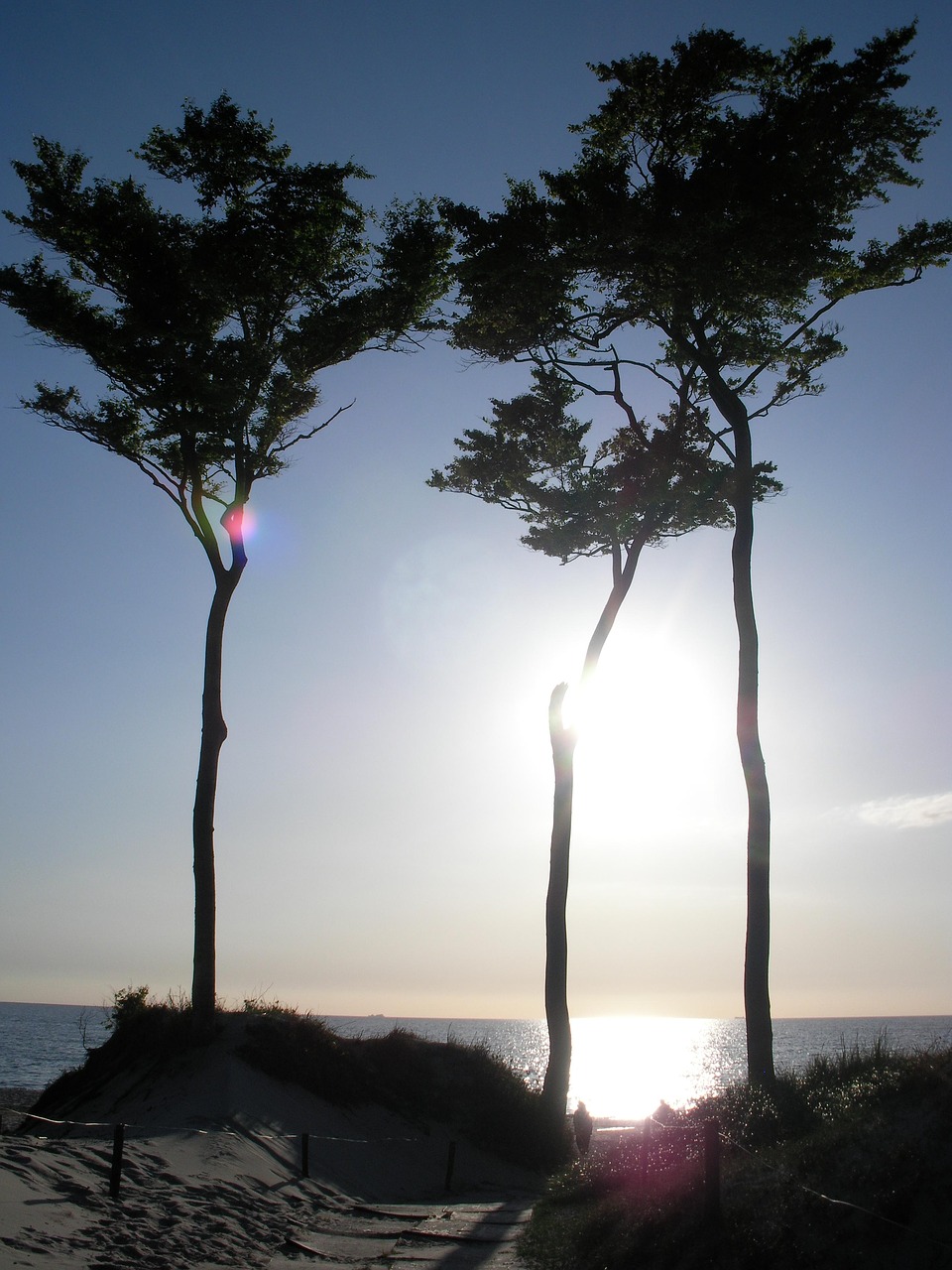 twilight beach baltic sea free photo