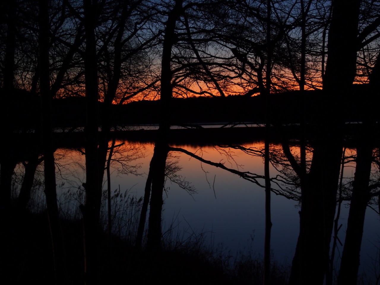 twilight sunset autumn free photo