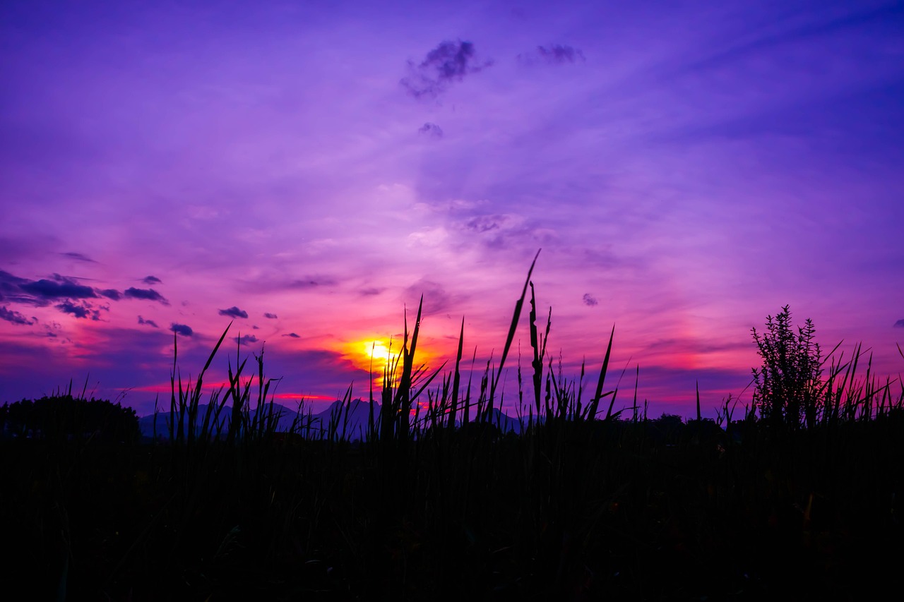 twilight rainbow field free photo