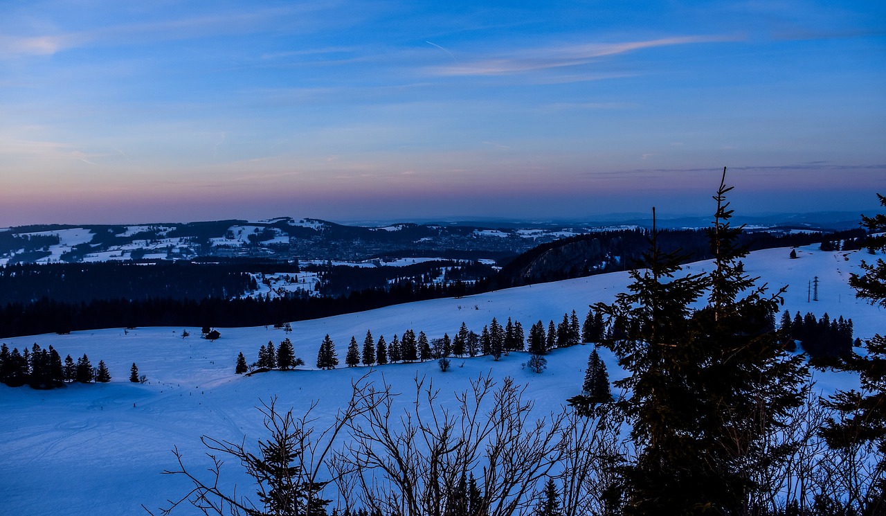 twilight  landscape  winter free photo