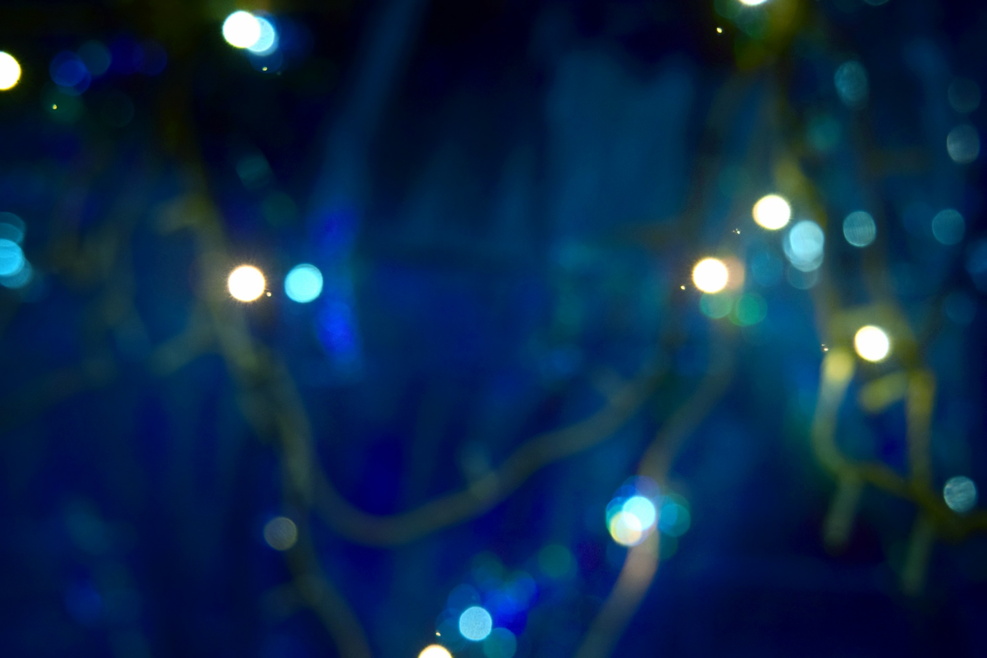 twinkle light colors free photo
