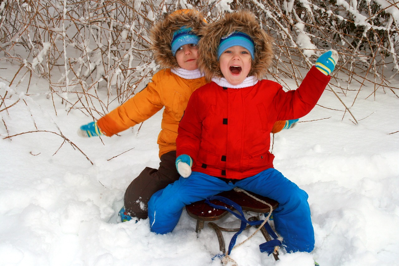 twins brothers snow free photo