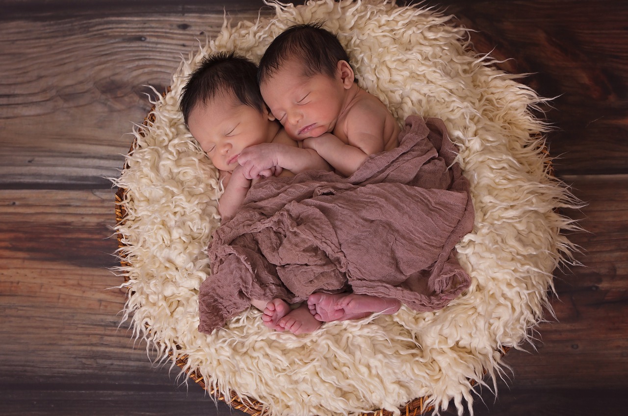 twins boys babies free photo