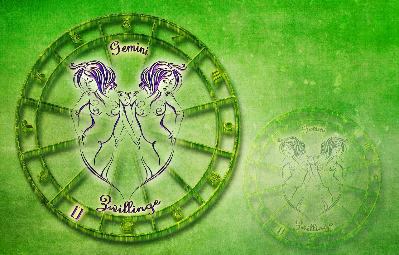 twins zodiac sign horoscope free photo