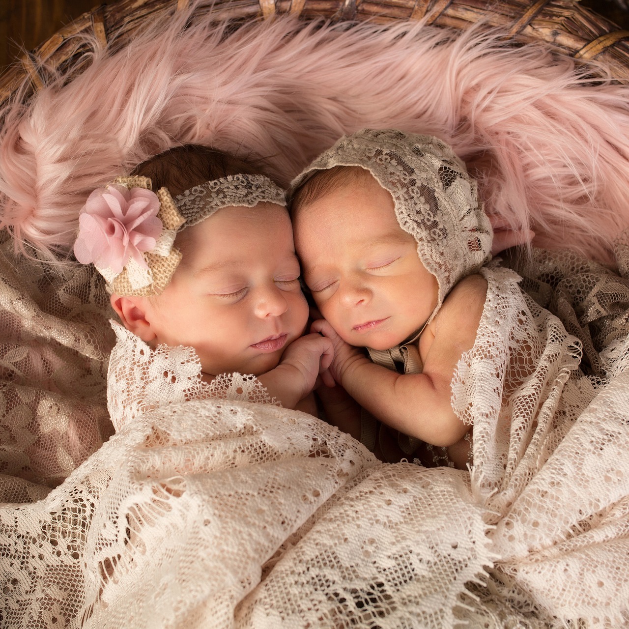 twins  newborns  girls free photo