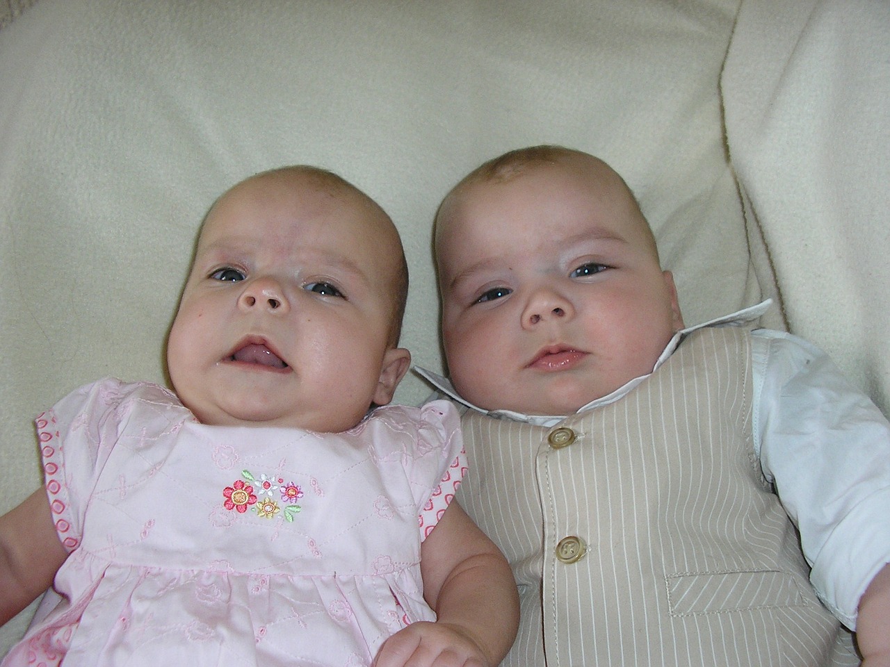 twins babies siblings free photo