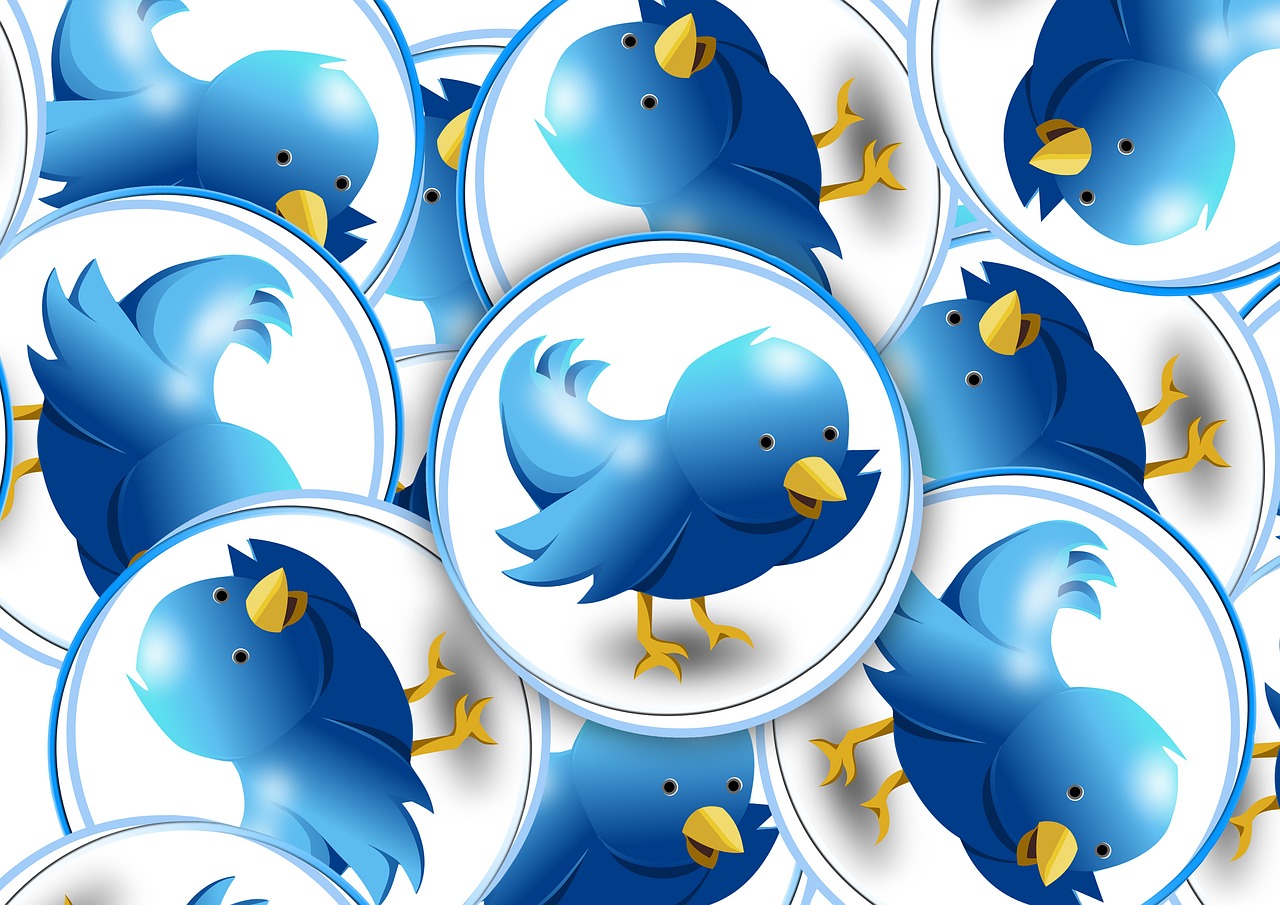 twitter logo bird free photo