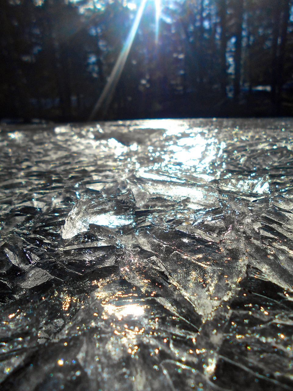 two ice natural art free photo