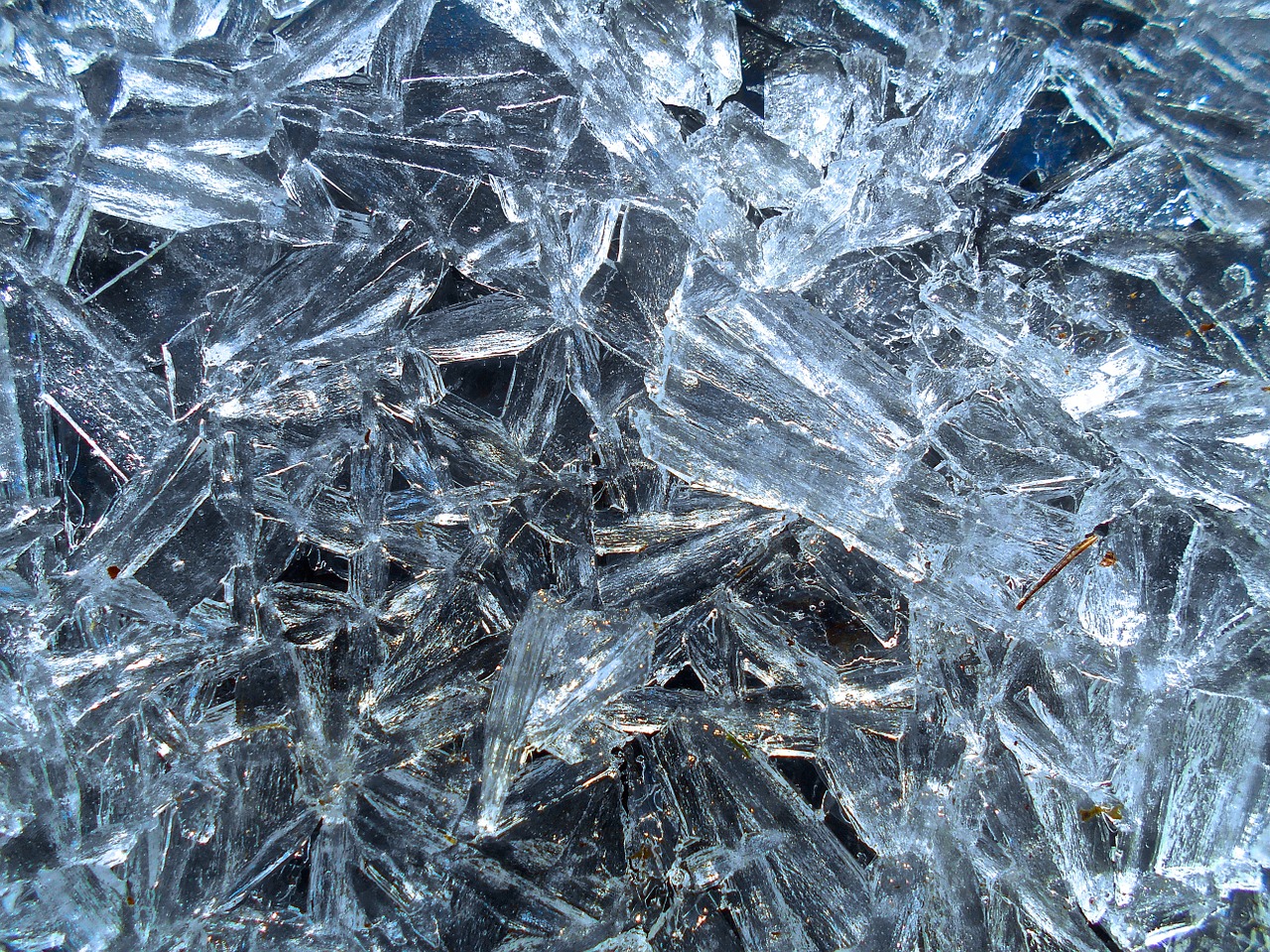 two ice natural art free photo