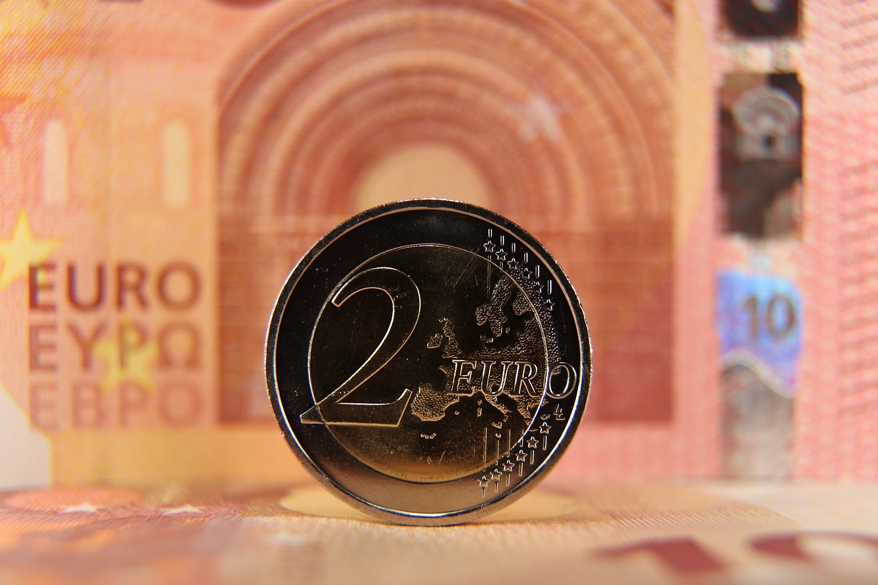 two  euro  coin free photo
