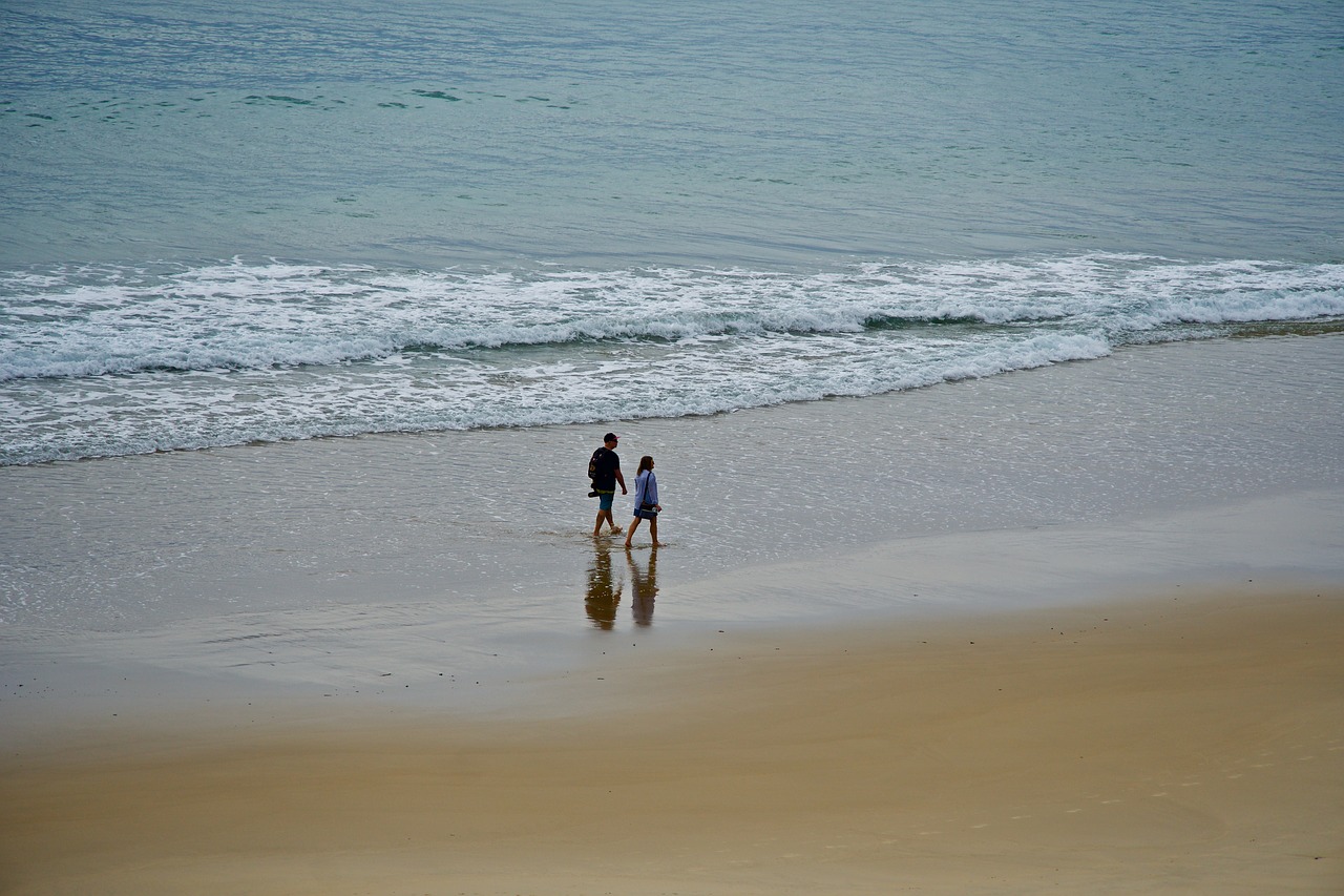 two  couple  beach free photo