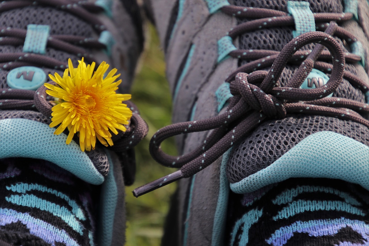 two  sports shoes  dandelion free photo