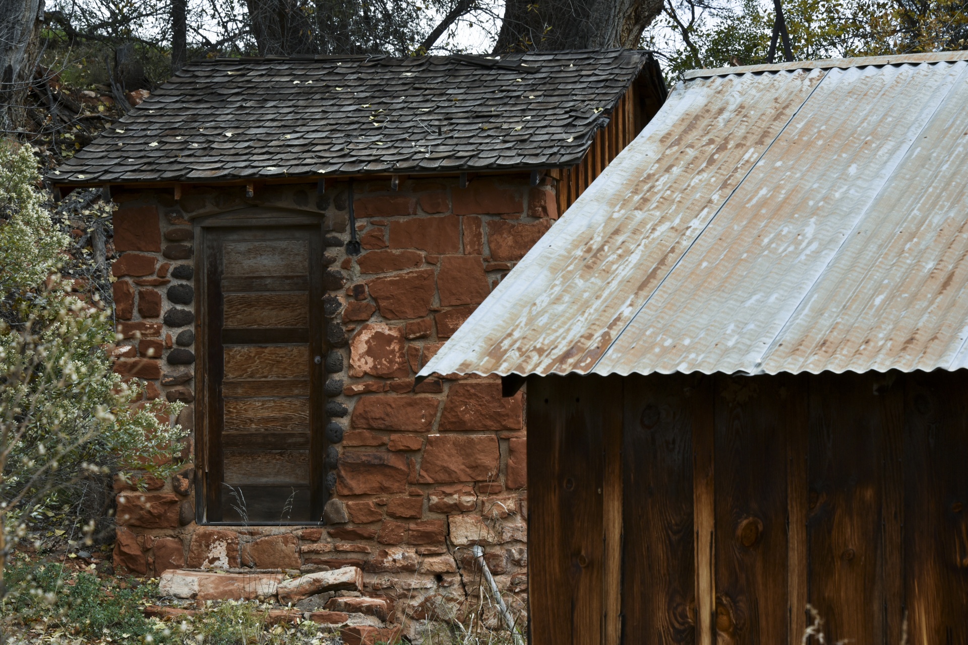 arizona forest building free photo