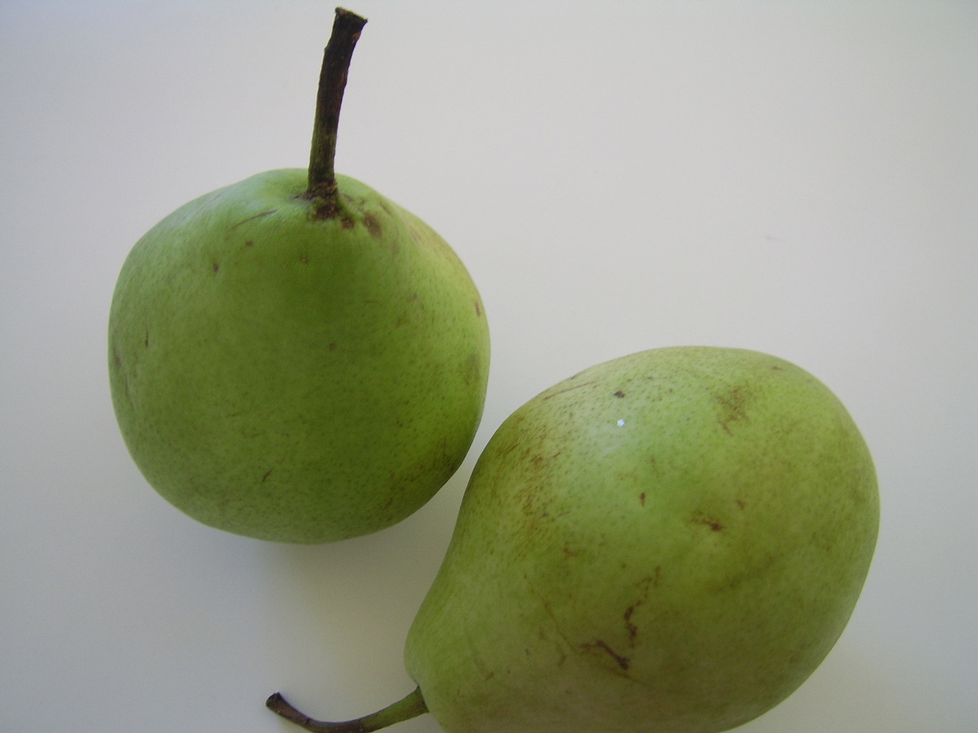 green pears fruit free photo