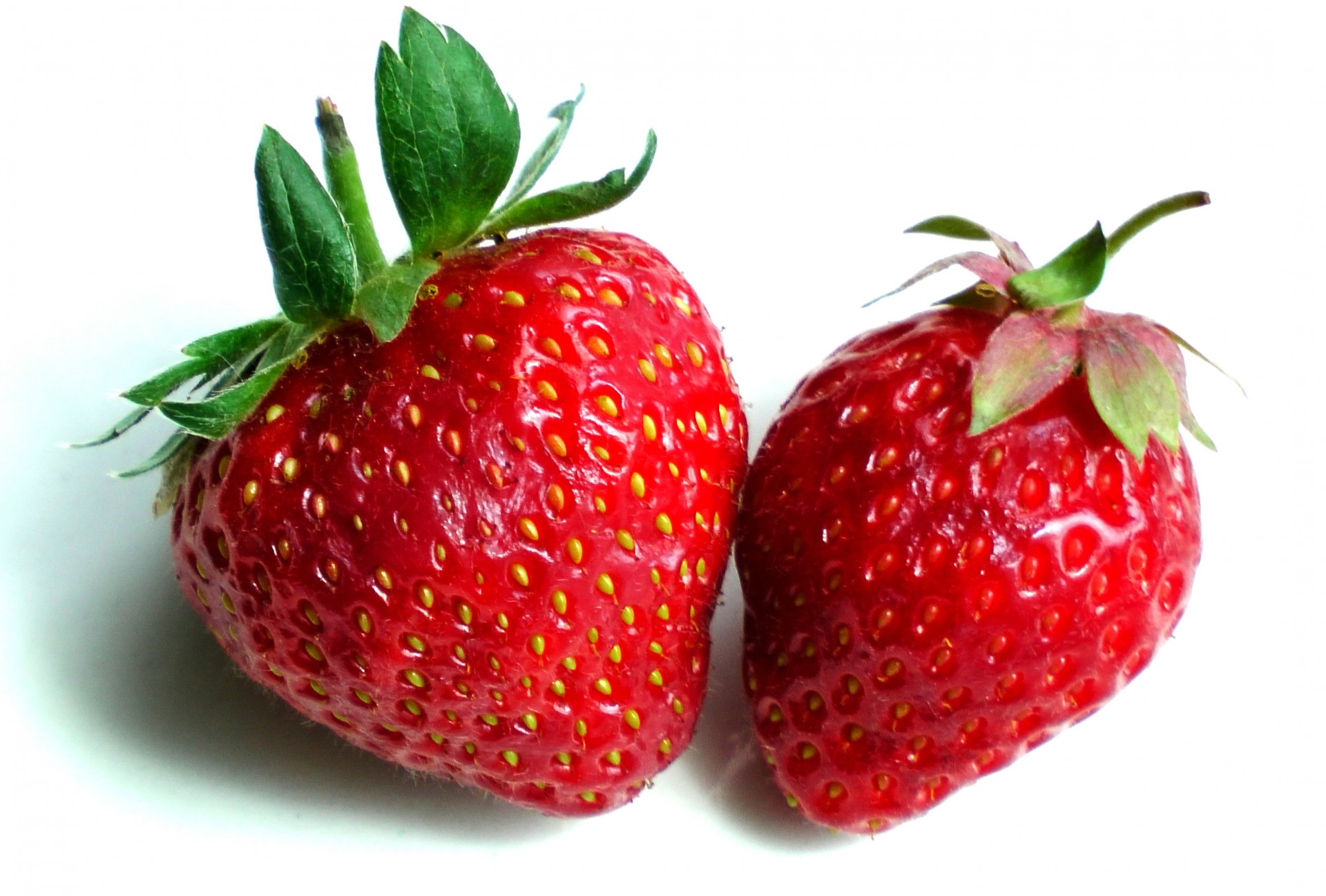 two juicy strawberries strawberry strawberries strawberry free photo
