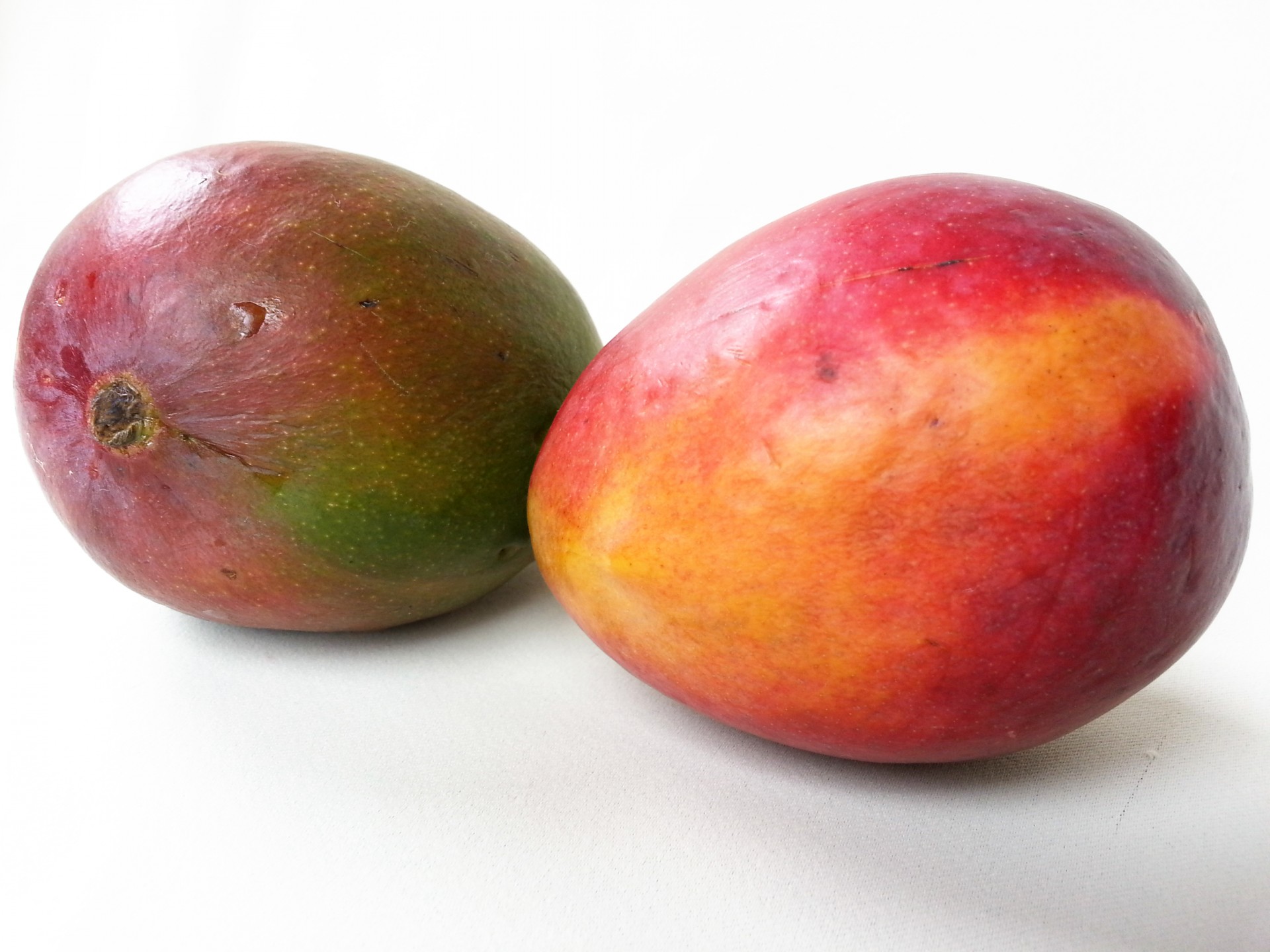 fruits mango receipts free photo