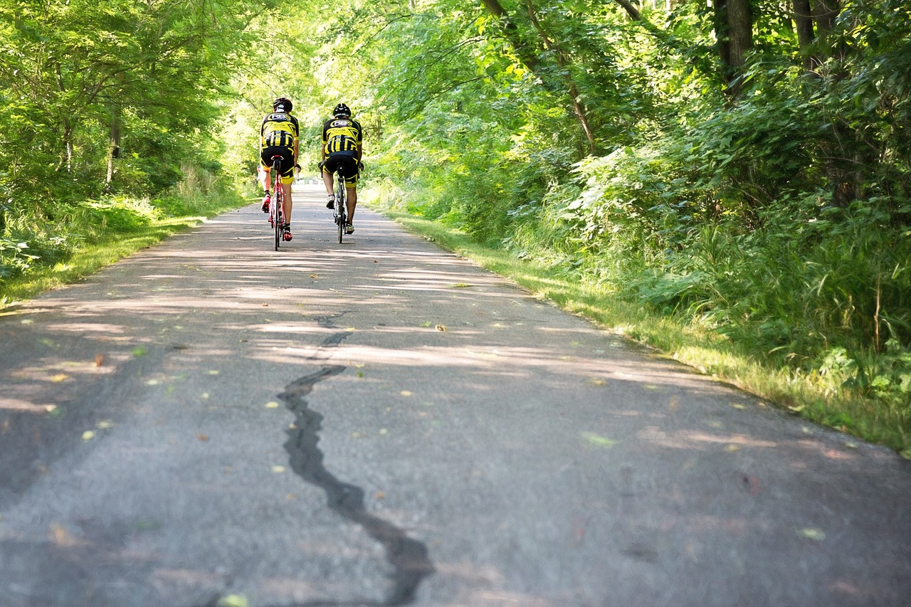two men on bicycles bike trail biking free photo