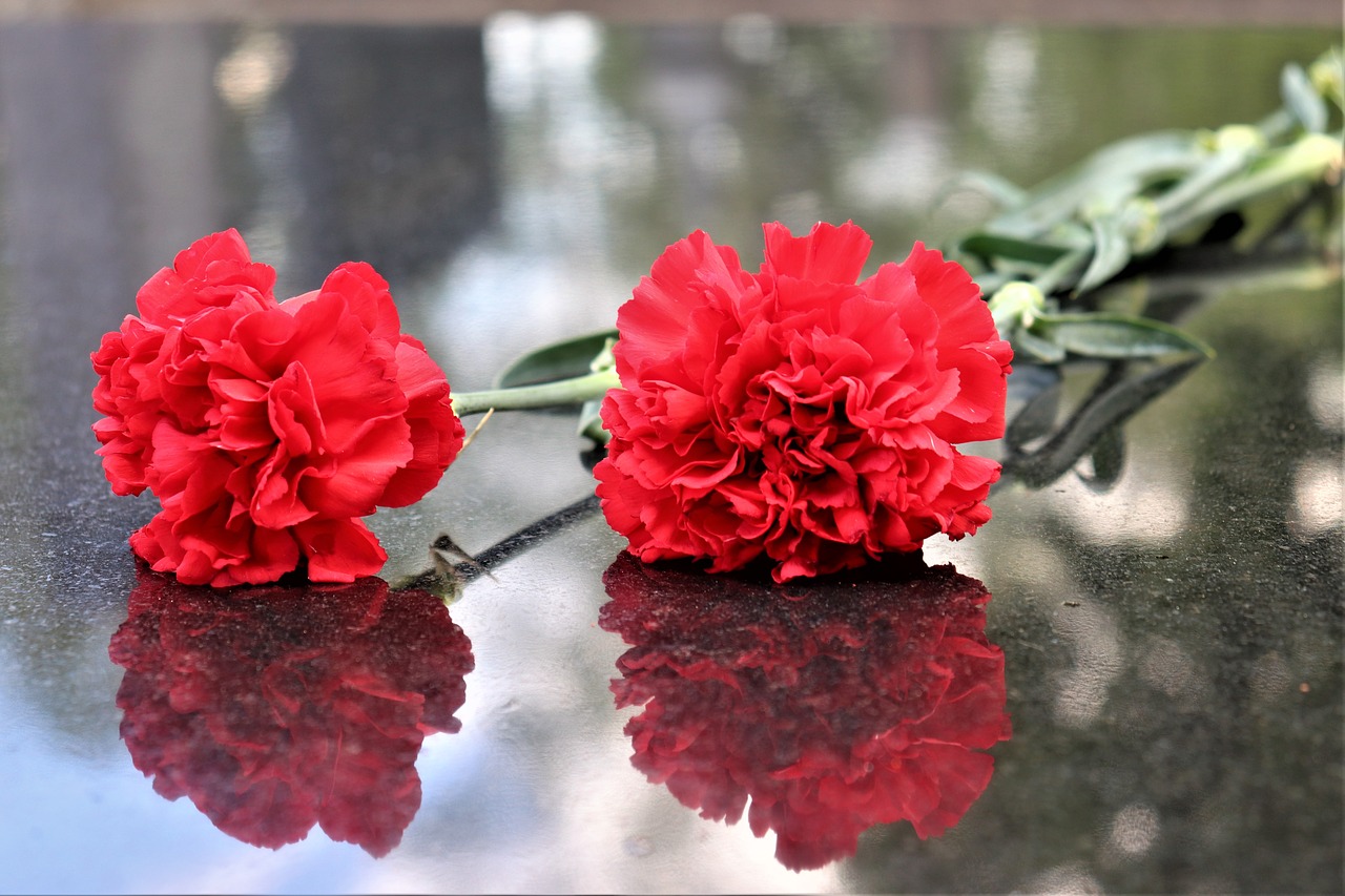 two red carnations  black marble  symbol free photo