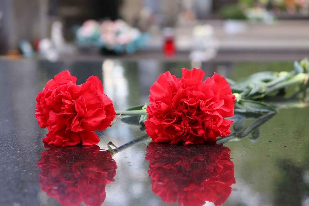 two red carnations  black marble  symbol free photo