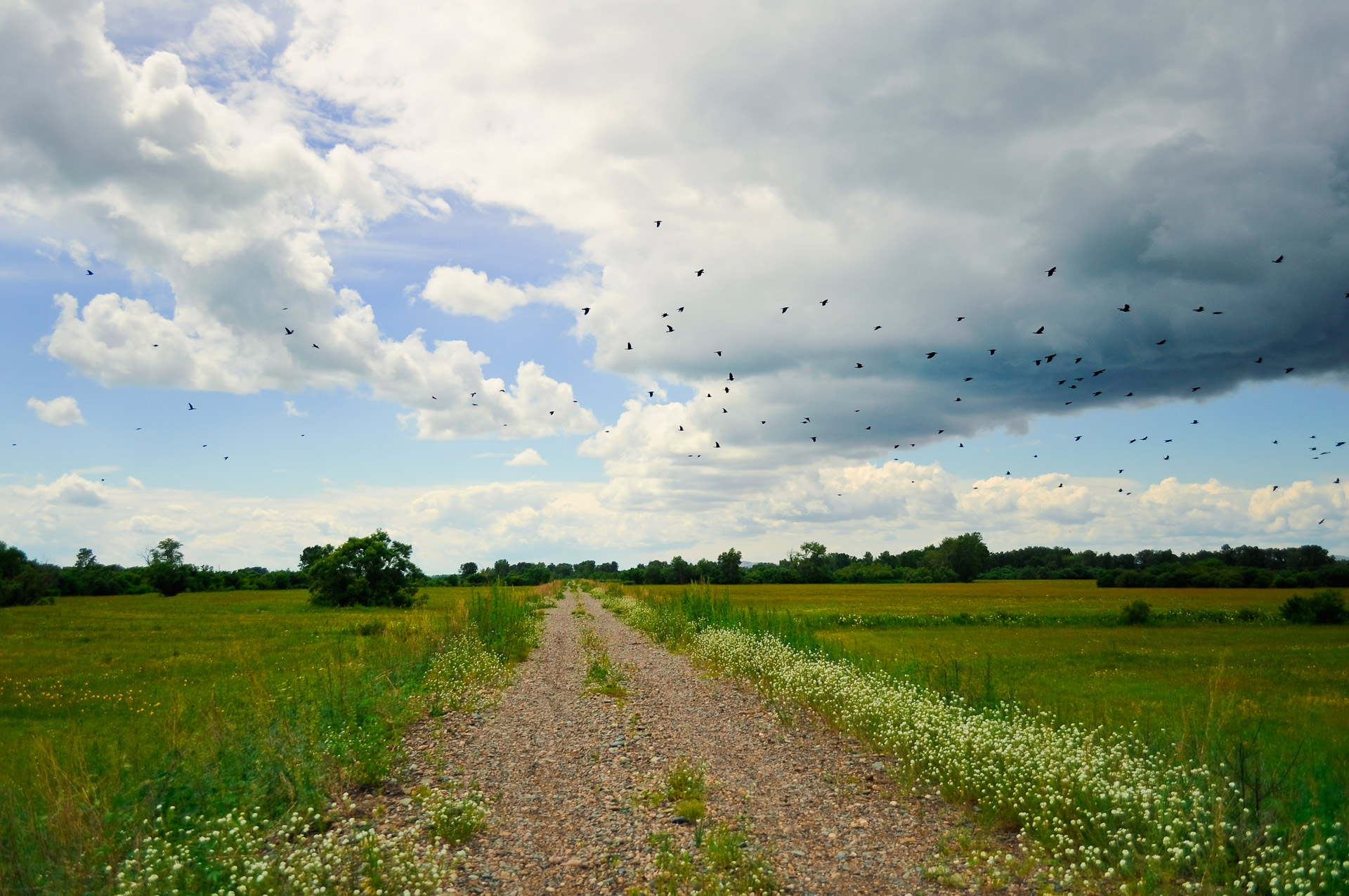 sky road landscape free photo