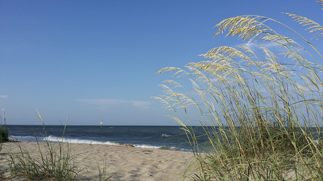 tybee beach georgia free photo