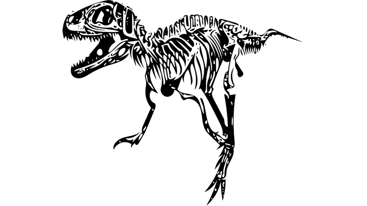 tyrannosaurus t-rex fossil free photo
