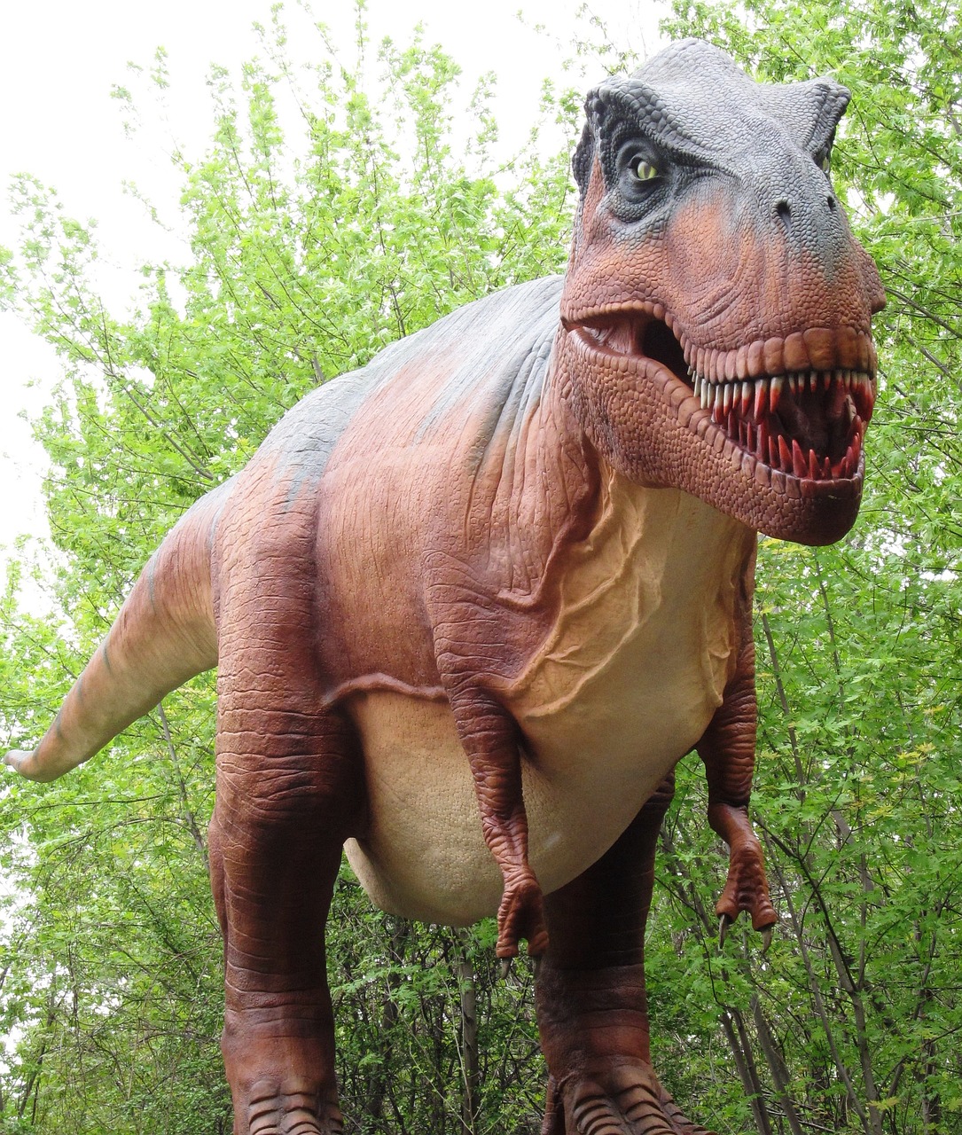 tyrannosaurus rex dinosaur giant dinosaur free photo