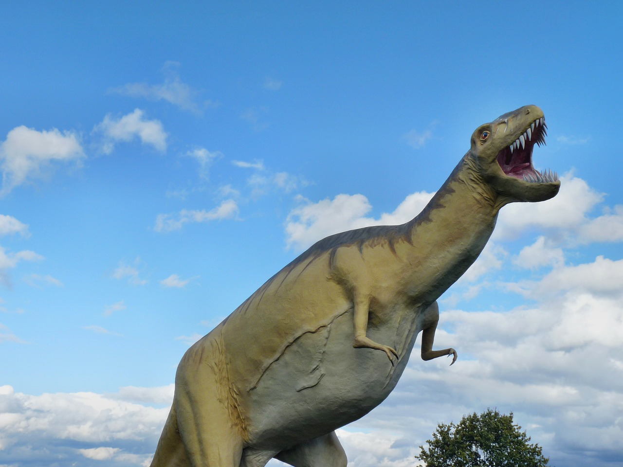 tyrannosaurus rex dinosaur prehistoric times free photo