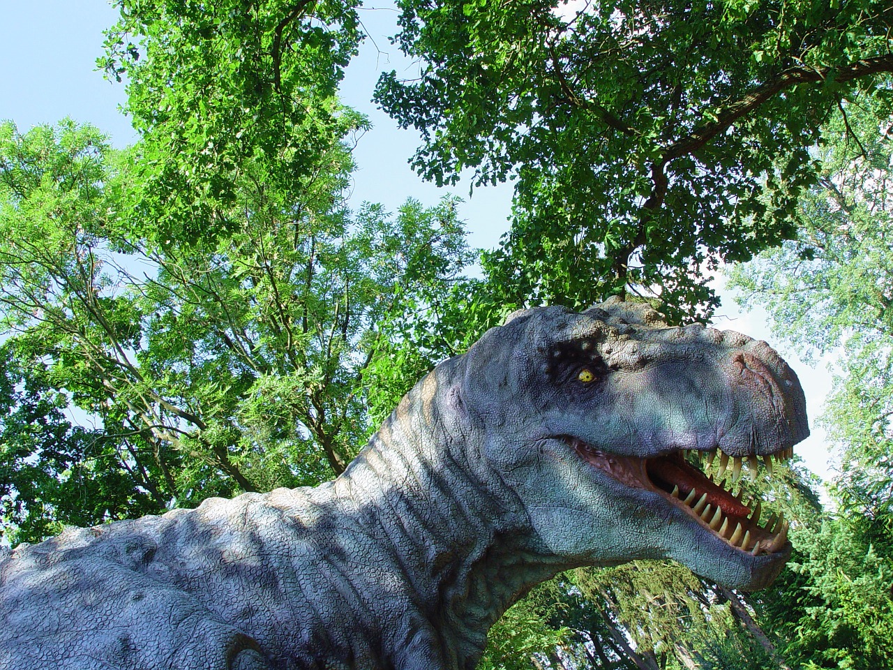 tyrannosaurus rex dino carnivore free photo