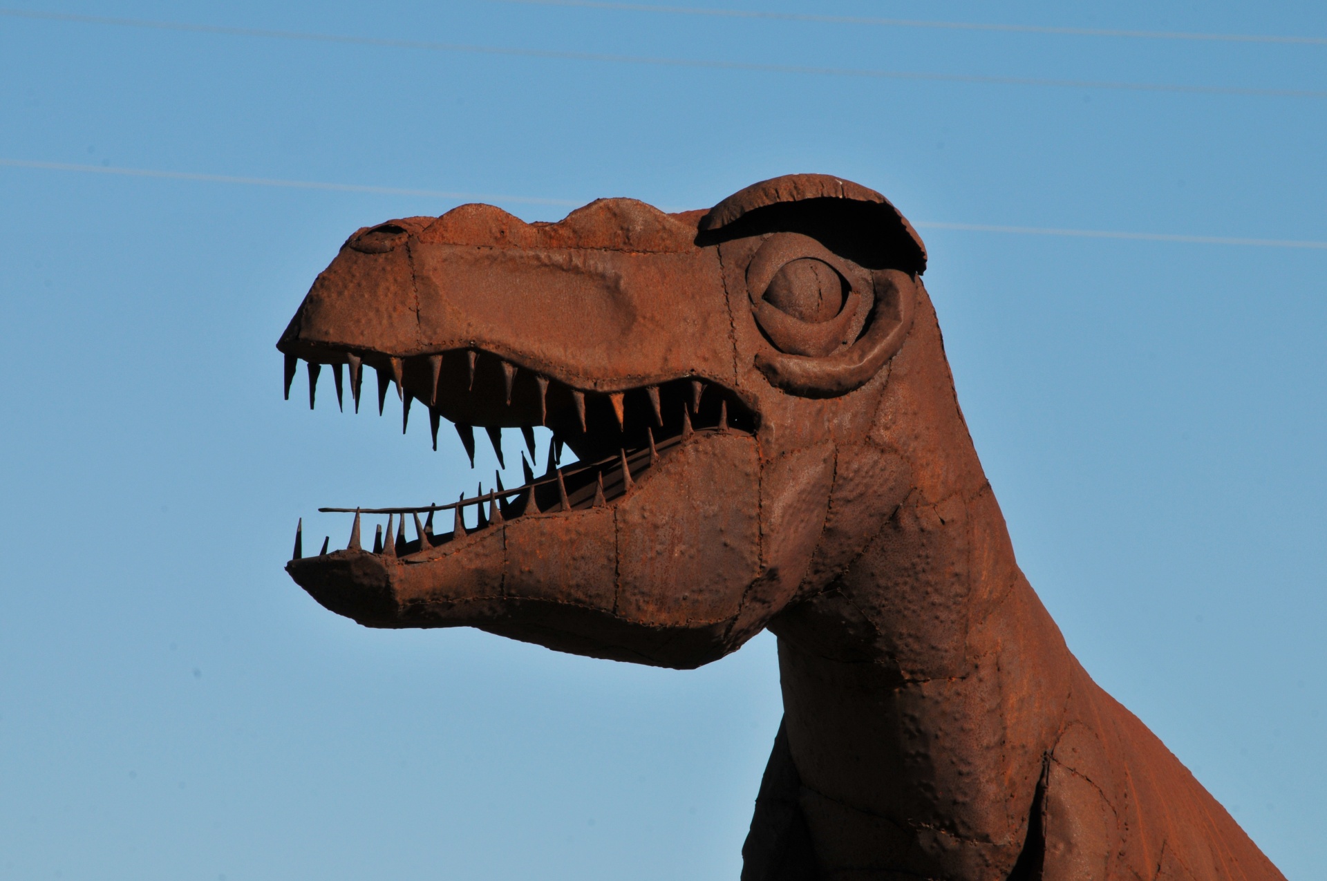 tyrannosaurus rex dinosaur sculpture free photo