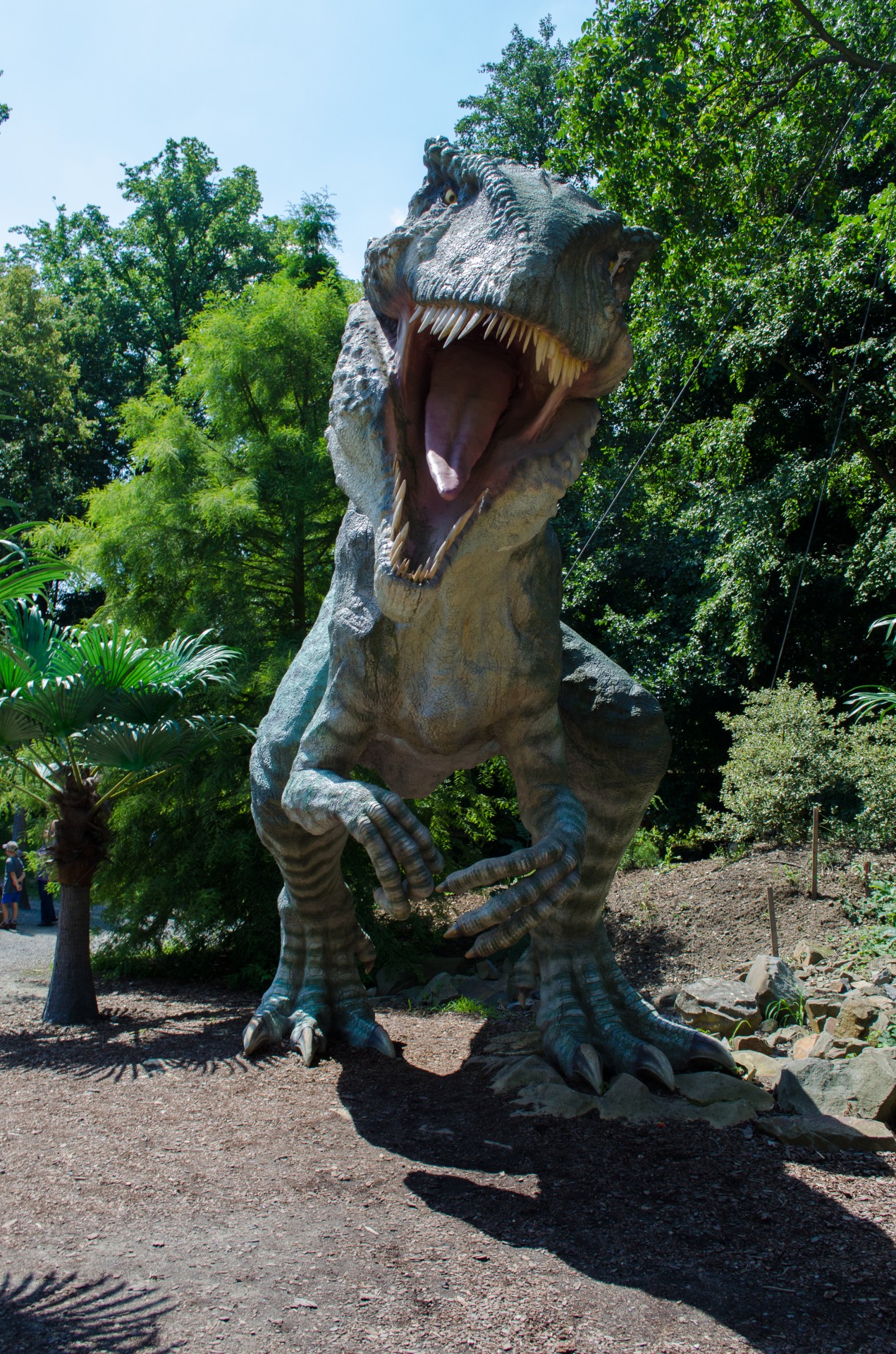 rex tyrannosaurus dinosaur free photo