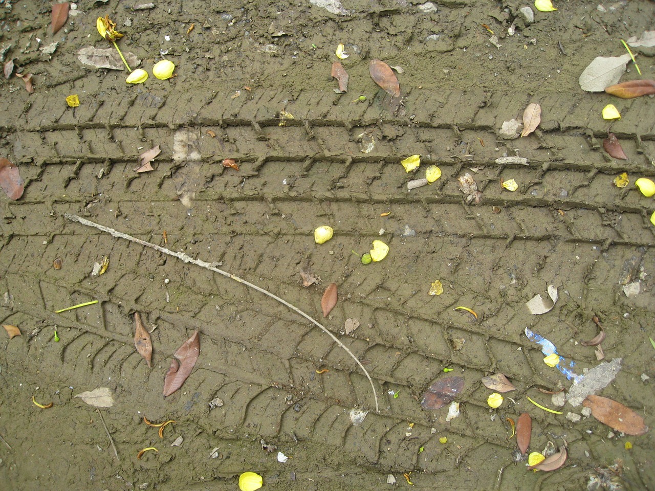 tyre tracks tracks marks free photo