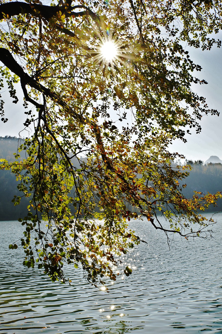 tyrol  austria  nature free photo