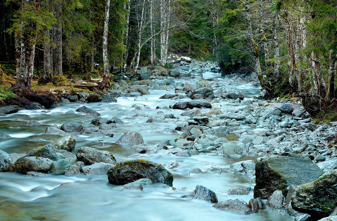 tyrol  kelchsau  austria free photo