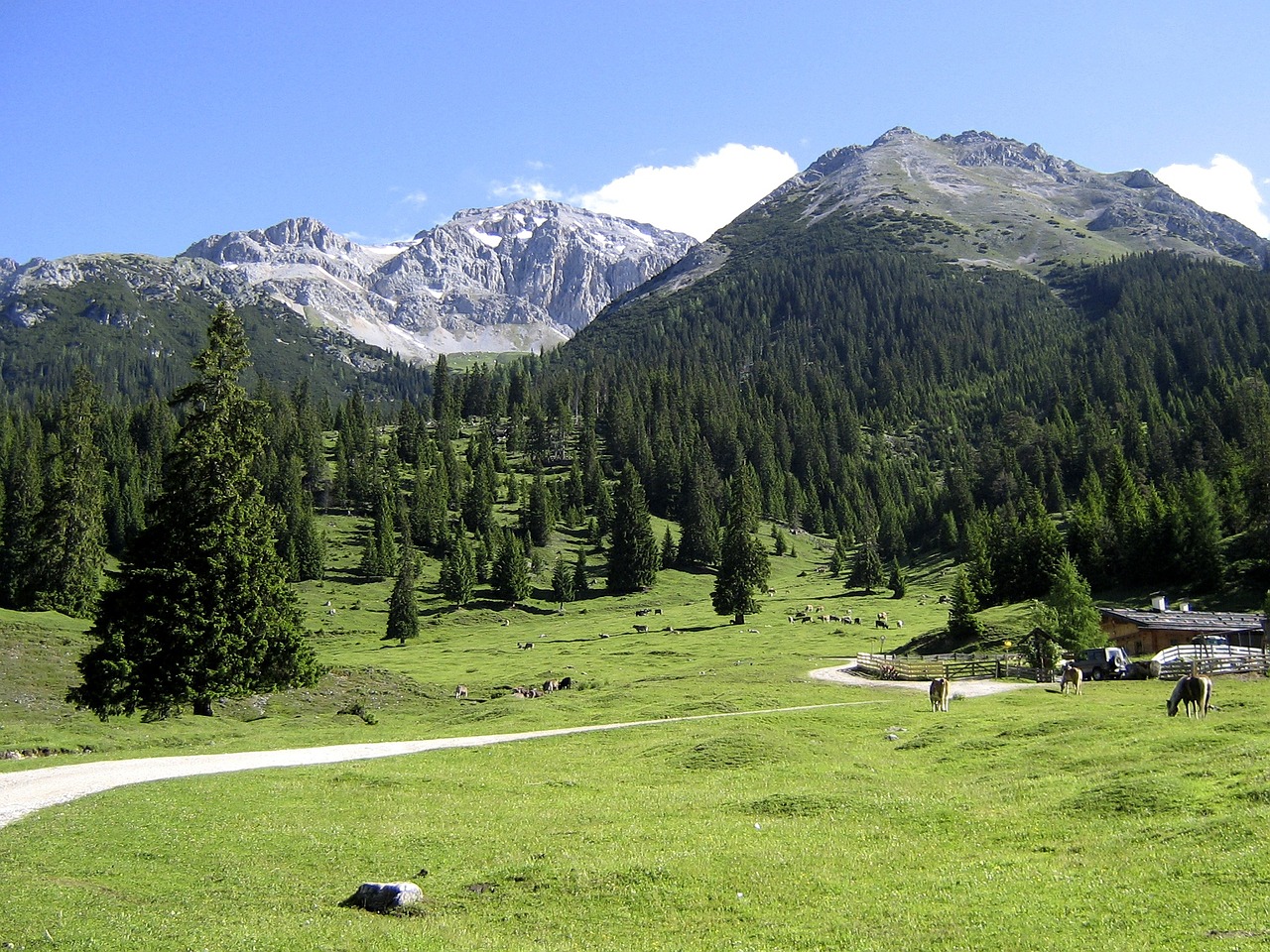 tyrol mountain meadow alm free photo