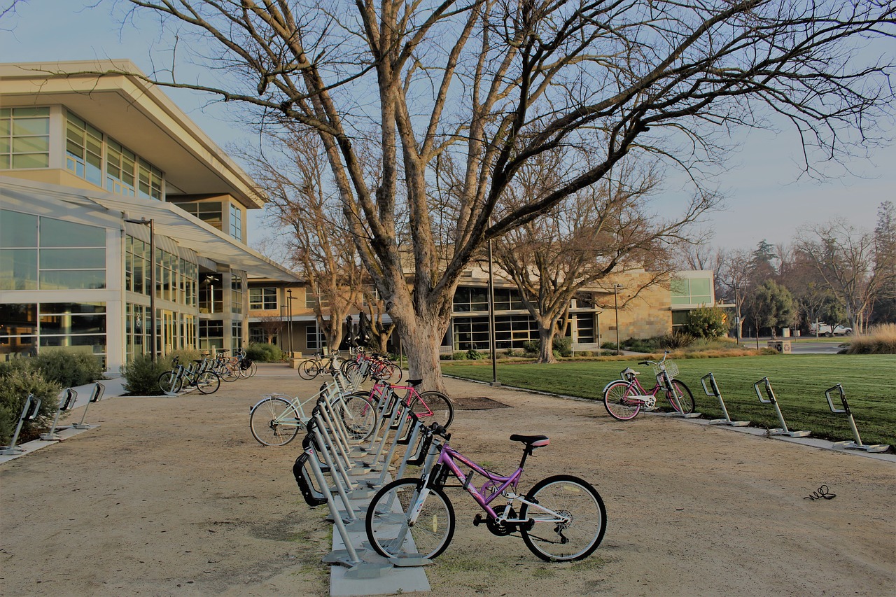 uc davis  bikes  campus free photo
