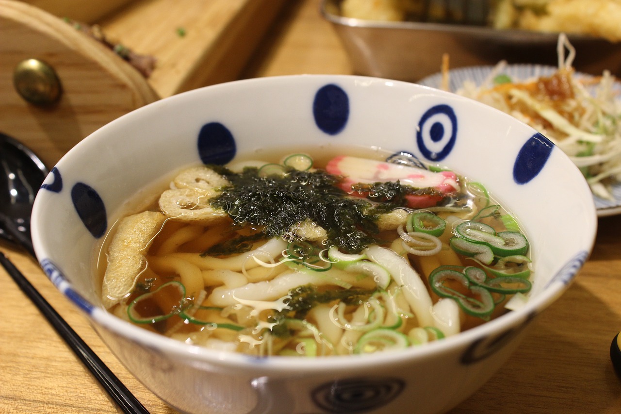 udon noodles  japanese  dining free photo