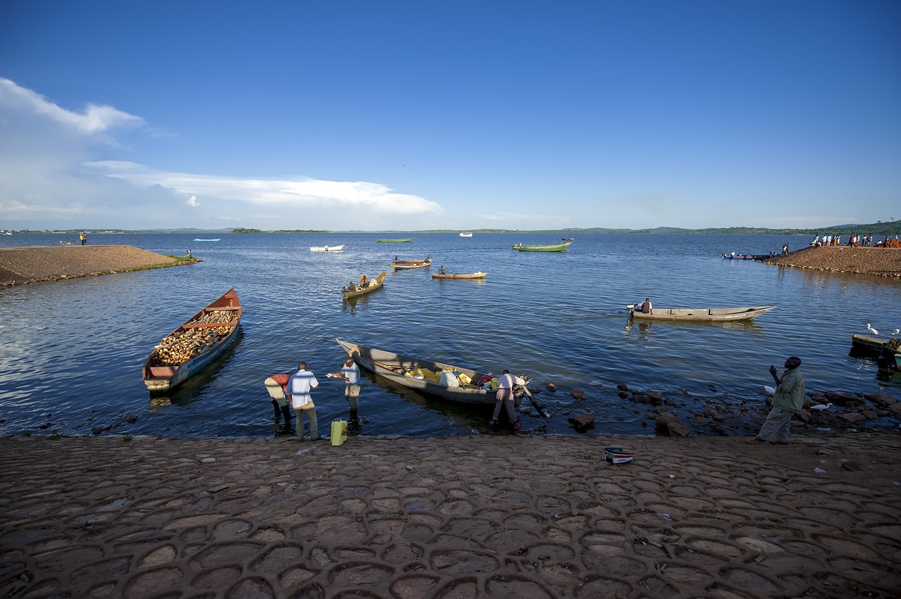 uganda lake victoria ggaba landing site free photo